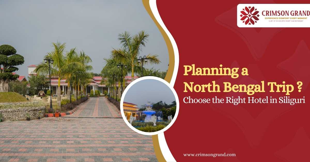 Planning a North Bengal Trip? Why Choosing the Right Hotels in Siliguri Matters